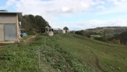 1#4909 Cessione di azienda agricola