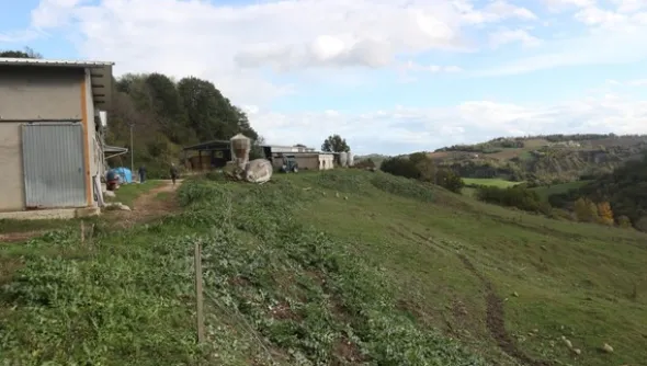 1#4909 Cessione di azienda agricola