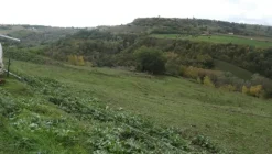 1#4909 Cessione di azienda agricola