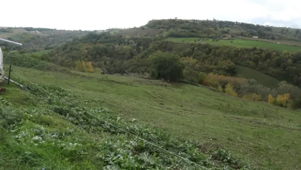 1#4909 Cessione di azienda agricola