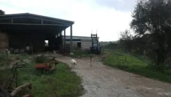 1#4909 Cessione di azienda agricola