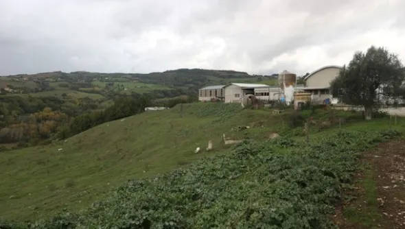1#4909 Cessione di azienda agricola