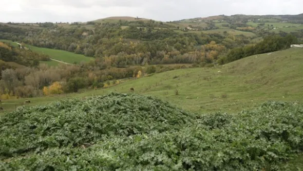 1#4909 Cessione di azienda agricola
