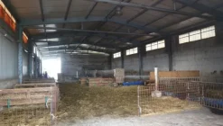 1#4909 Cessione di azienda agricola