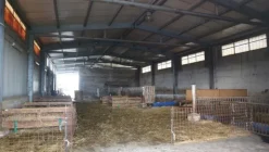 1#4909 Cessione di azienda agricola