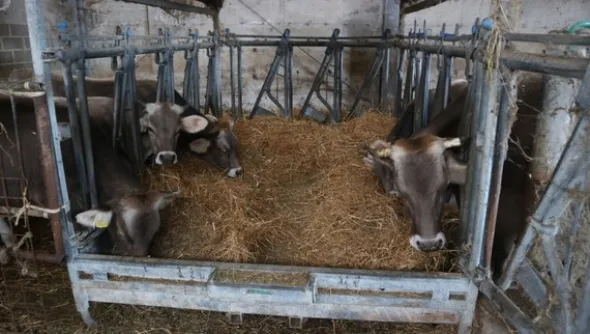 1#4909 Cessione di azienda agricola