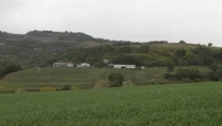 1#4909 Cessione di azienda agricola