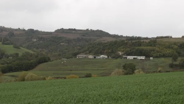 1#4909 Cessione di azienda agricola