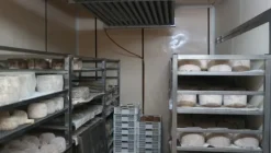 1#4909 Cessione di azienda agricola
