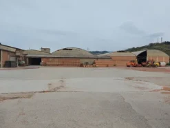 1#6101 Cessione di azienda dedita alla produzione di laterizi