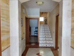1#5942 Cessione di azienda dedita alla vendita di marmi e pietre