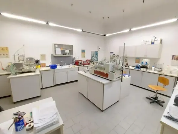 #20775 Cessione di complesso aziendale adibito a molino
