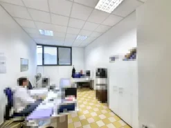 #2536298 Cessione di contratti di leasing immobiliare di capannoni produttivi