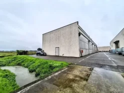 #2536298 Cessione di contratti di leasing immobiliare di capannoni produttivi