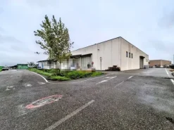 #2536298 Cessione di contratti di leasing immobiliare di capannoni produttivi