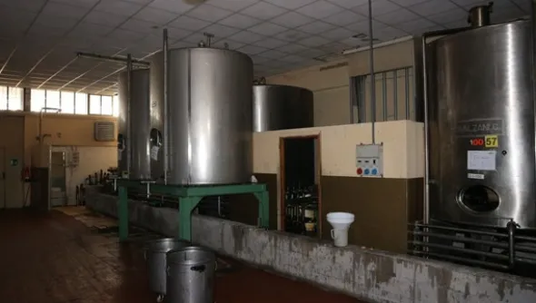 1#5050 Cessione di oleificio Venturi Spa