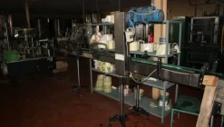 1#5050 Cessione di oleificio Venturi Spa