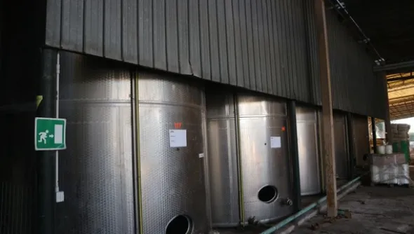 1#5050 Cessione di oleificio Venturi Spa