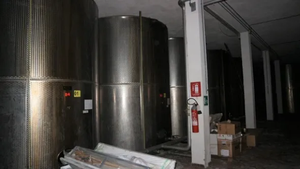 1#5050 Cessione di oleificio Venturi Spa