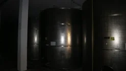 1#5050 Cessione di oleificio Venturi Spa