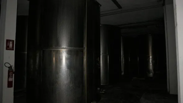 1#5050 Cessione di oleificio Venturi Spa