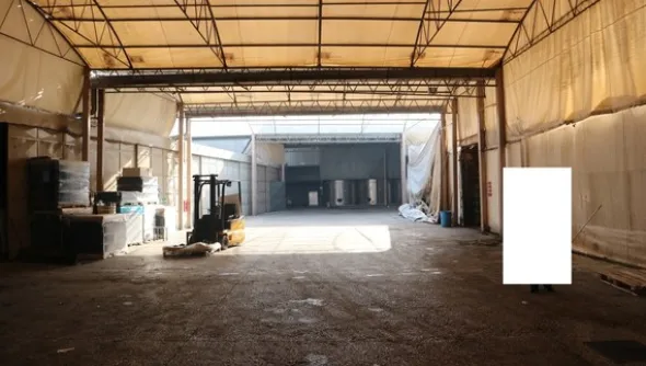 1#5050 Cessione di oleificio Venturi Spa