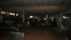 1#5050 Cessione di oleificio Venturi Spa