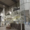 1#6480 Cessione di ramo di azienda Ilta Alimentare Spa