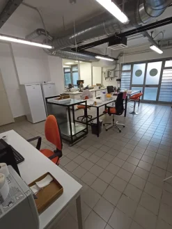 Cessione Ramo d'Azienda Laboratorio Chimico a Roma