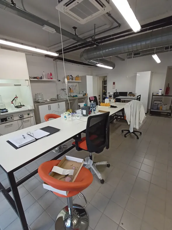 Cessione Ramo d'Azienda Laboratorio Chimico a Roma