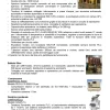 Cessione ramo di azienda