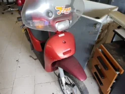 8#4986 Ciclomotore Piaggio Free e Mountain Bike