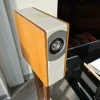 31#7255 Combinati Auris System