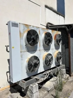 1#7741 Compendio di azienda dedita alla macellazione e al commercio all'ingrosso di bestiame