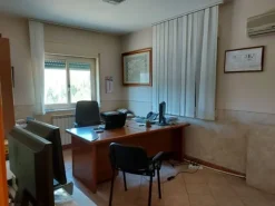 #11162 Compendio di 3 capannoni (A-B-C) con uffici e terreni attigui