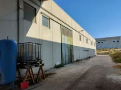 #11162 Compendio di 3 capannoni (A-B-C) con uffici e terreni attigui