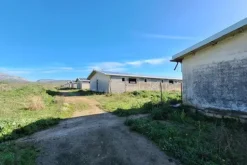 #25198 Compendio industriale zootecnico comprensivo di impianti