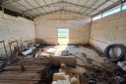 #25198 Compendio industriale zootecnico comprensivo di impianti