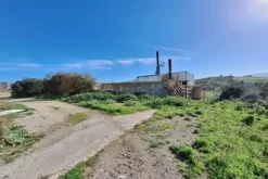 #25198 Compendio industriale zootecnico comprensivo di impianti