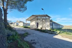 #25198 Compendio industriale zootecnico comprensivo di impianti