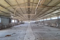 #25198 Compendio industriale zootecnico comprensivo di impianti