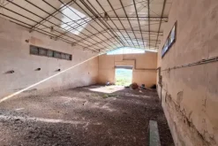 #25198 Compendio industriale zootecnico comprensivo di impianti