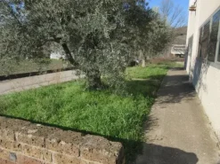 #15107 Complesso agricolo con pertinenze