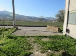 #15107 Complesso agricolo con pertinenze