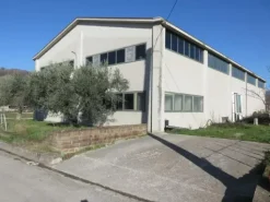 #15107 Complesso agricolo con pertinenze