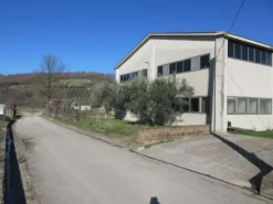 #15107 Complesso agricolo con pertinenze
