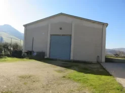 #15107 Complesso agricolo con pertinenze