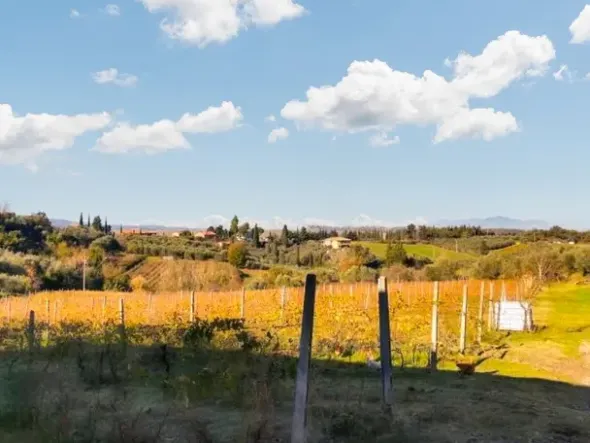 #25003 Complesso agricolo con terreni, abitazione e servizi