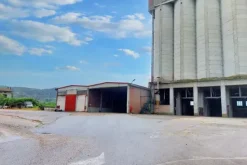 #20769 Complesso agro-industriale con impianto fotovoltaico