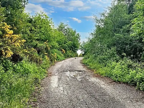 #22968 Complesso alberghiero immerso nel verde della Sila
